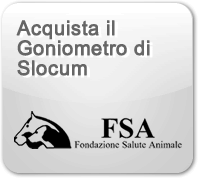 FSA_box